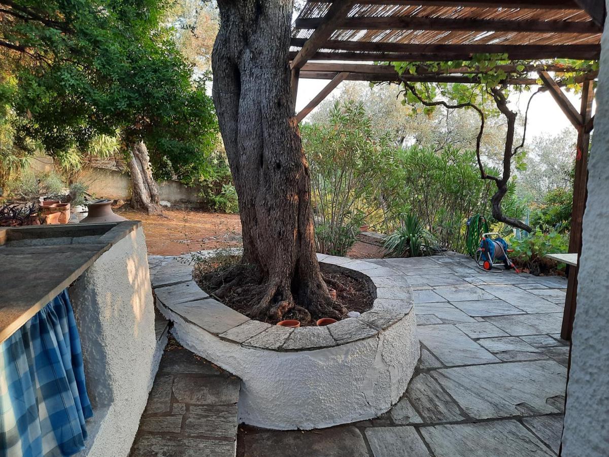 Villa Imelda أفيسوس المظهر الخارجي الصورة