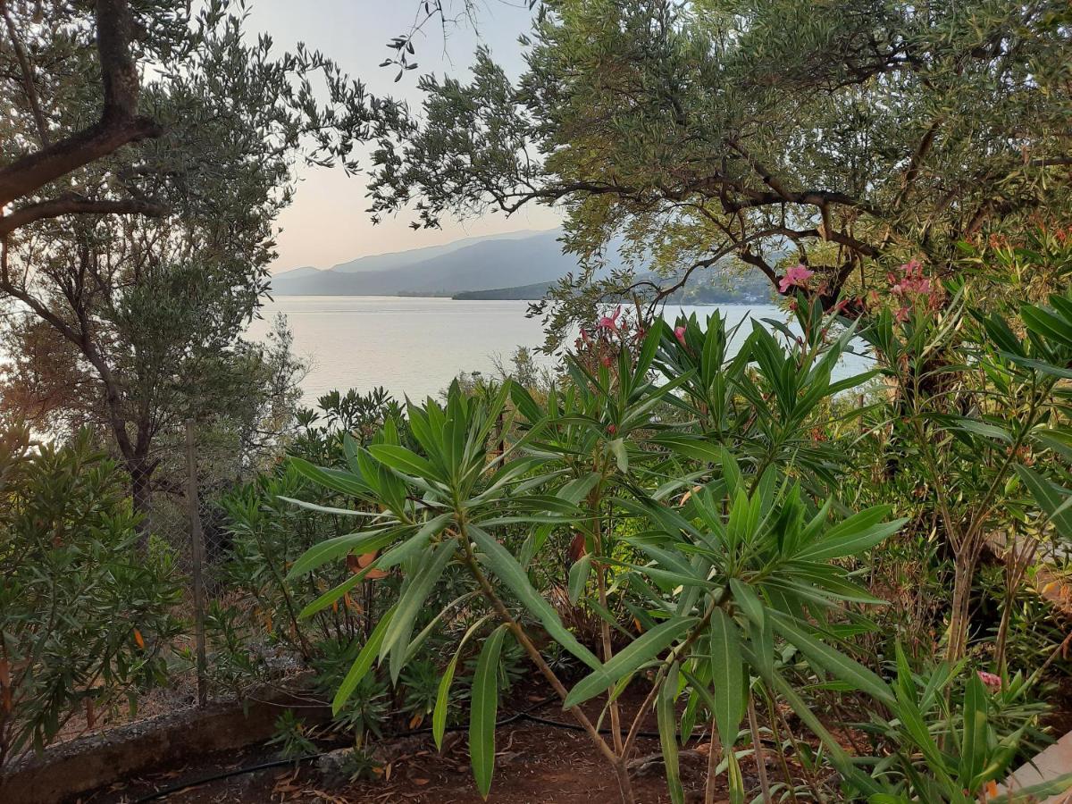 Villa Imelda أفيسوس المظهر الخارجي الصورة