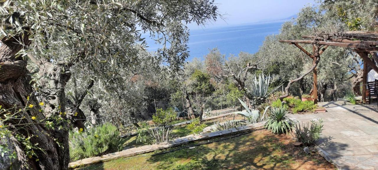 Villa Imelda أفيسوس المظهر الخارجي الصورة